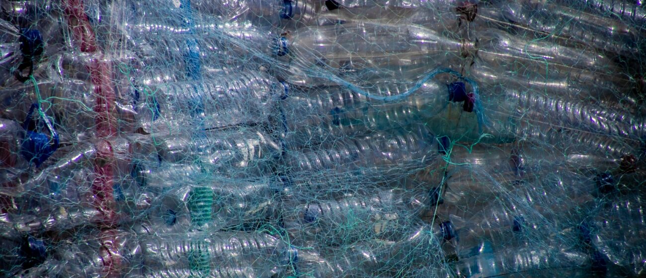 Plastic Bottles to Be Recycled