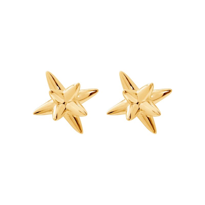 Gold star-shaped earrings on a white background