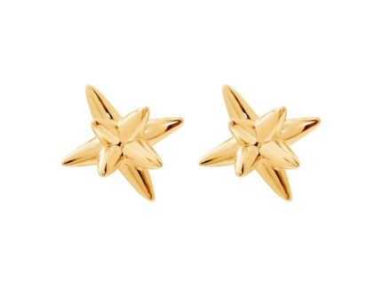 Gold star-shaped earrings on a white background