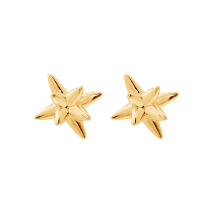 Gold star-shaped earrings on a white background
